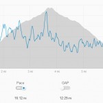 Elevation and Pace Profile