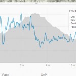 Strava: Pace and Elevation for fast 10k in trail running microspikes 21 Feb 2014