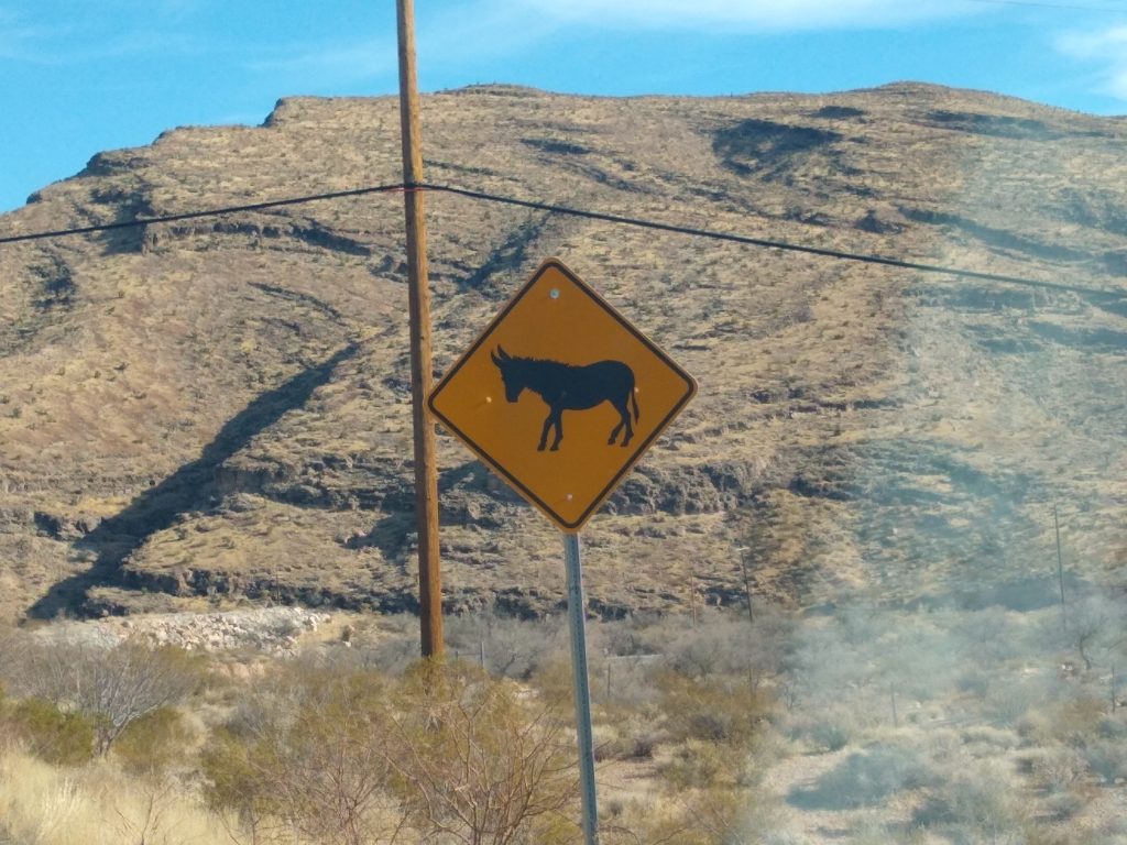 Burro Crossing